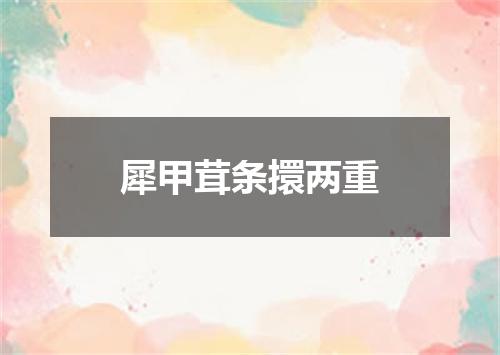 犀甲茸条擐两重
