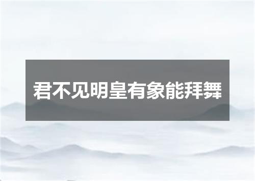 君不见明皇有象能拜舞