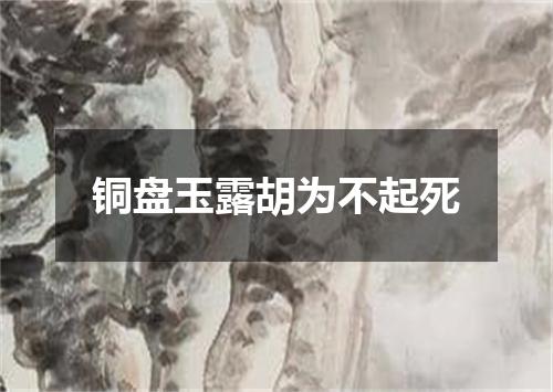 铜盘玉露胡为不起死