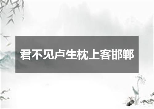 君不见卢生枕上客邯郸