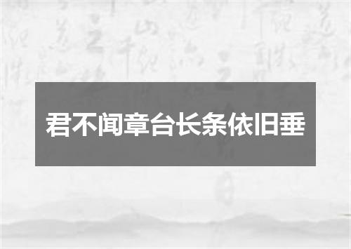 君不闻章台长条依旧垂