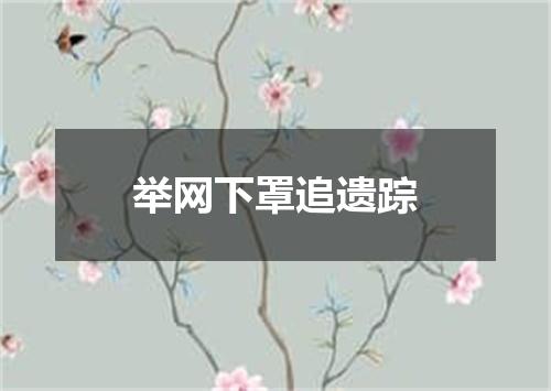 举网下罩追遗踪