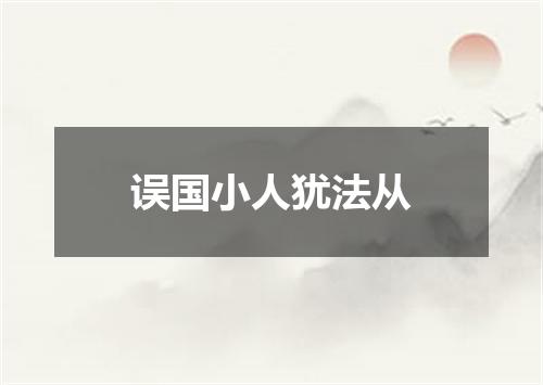 误国小人犹法从