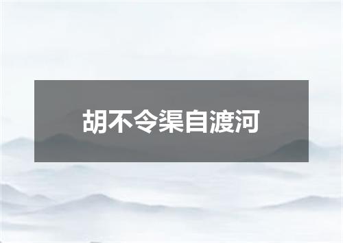胡不令渠自渡河