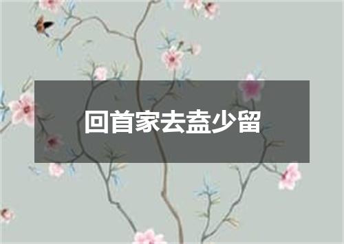 回首家去盍少留