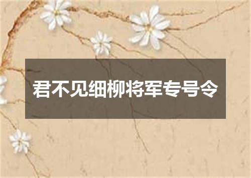 君不见细柳将军专号令