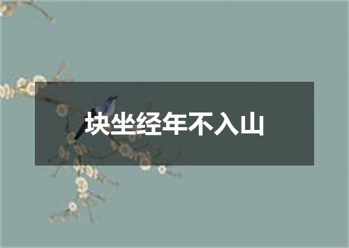块坐经年不入山