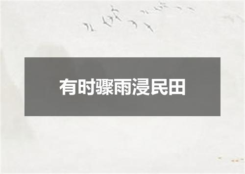 有时骤雨浸民田