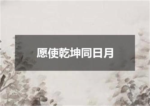 愿使乾坤同日月