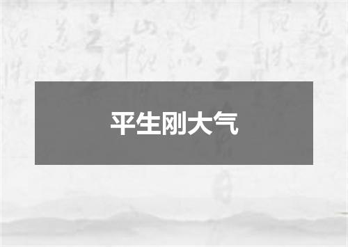 平生刚大气
