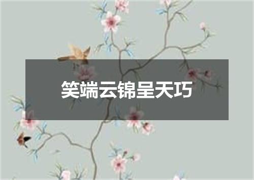 笑端云锦呈天巧