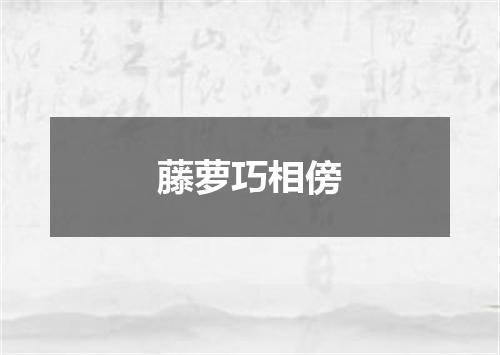 藤萝巧相傍