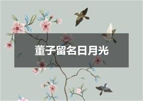 董子留名日月光