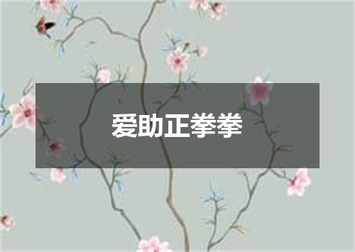 爱助正拳拳