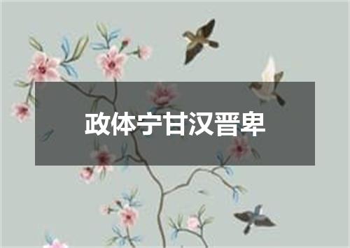 政体宁甘汉晋卑