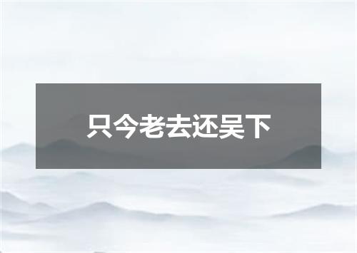 只今老去还吴下