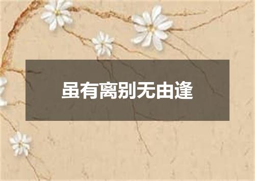 虽有离别无由逢