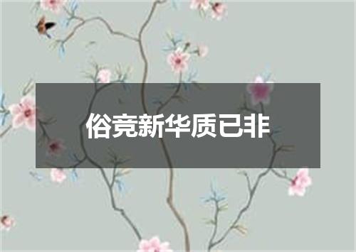 俗竞新华质已非