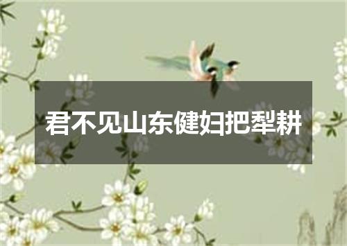 君不见山东健妇把犁耕