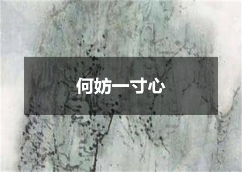 何妨一寸心