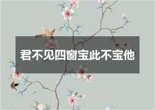 君不见四窗宝此不宝他