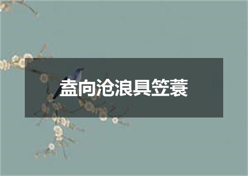 盍向沧浪具笠蓑