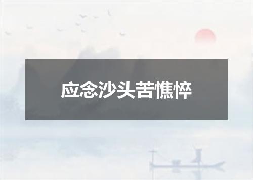 应念沙头苦憔悴