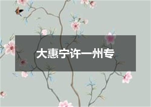 大惠宁许一州专