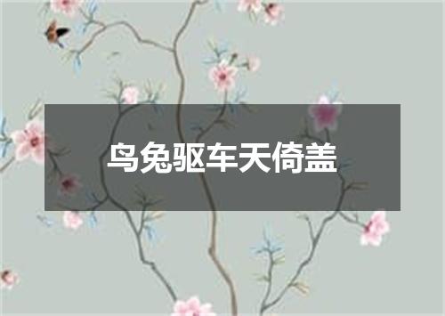 鸟兔驱车天倚盖