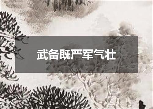 武备既严军气壮