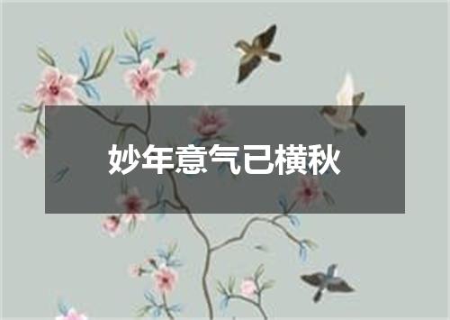 妙年意气已横秋