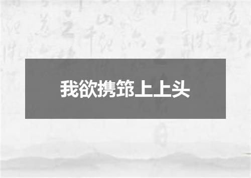 我欲携筇上上头
