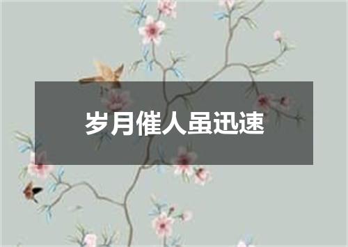 岁月催人虽迅速