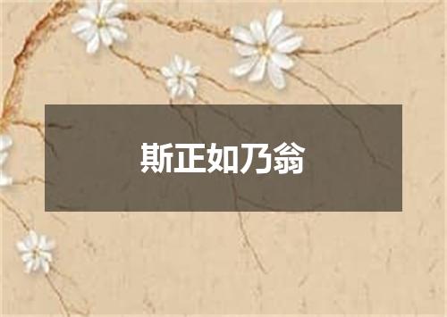 斯正如乃翁