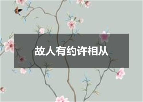 故人有约许相从