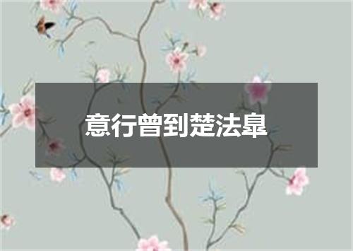 意行曾到楚法臯