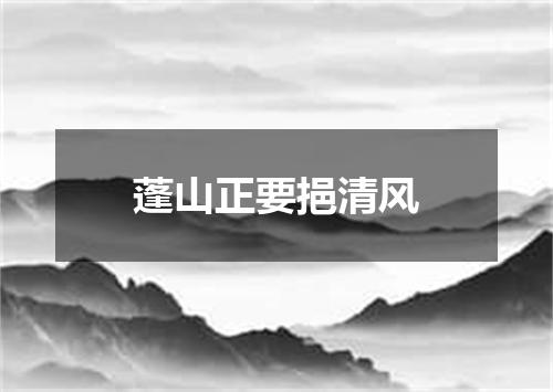 蓬山正要挹清风