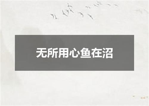 无所用心鱼在沼