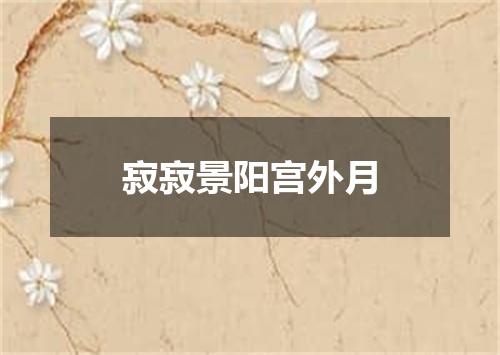 寂寂景阳宫外月