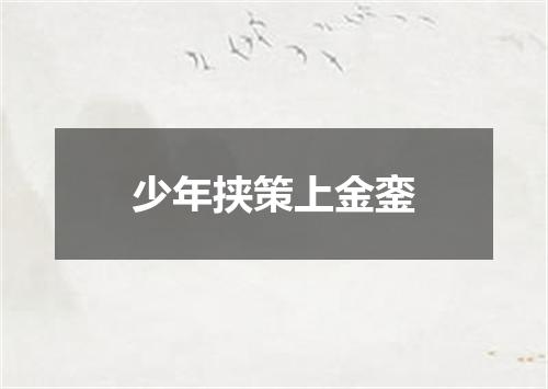 少年挟策上金銮