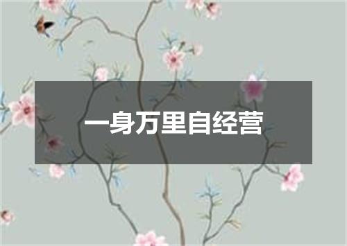 一身万里自经营