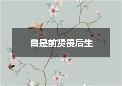 自是前贤畏后生