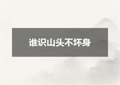 谁识山头不坏身