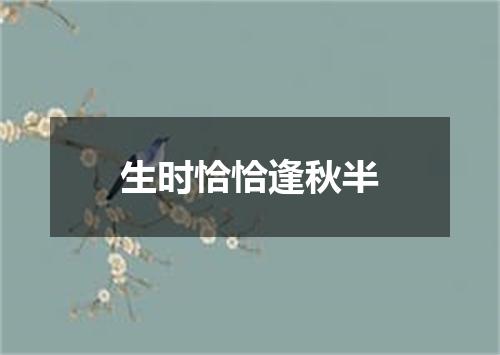 生时恰恰逢秋半