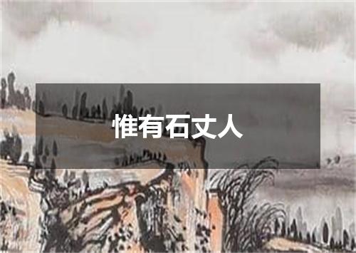 惟有石丈人