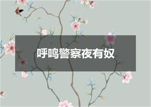呼鸣警察夜有奴