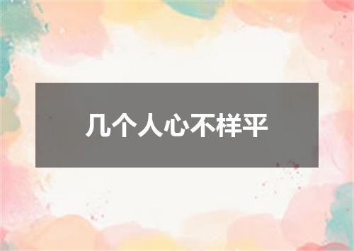 几个人心不样平