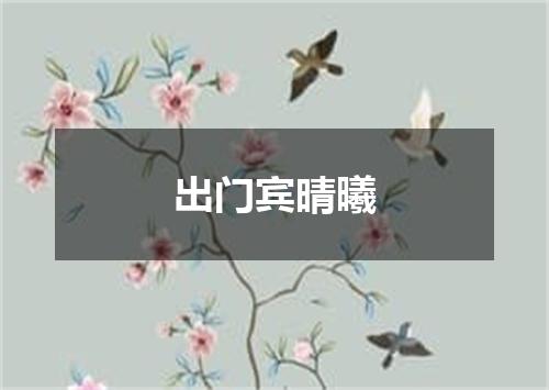 出门宾晴曦
