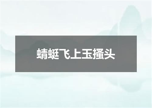 蜻蜓飞上玉搔头