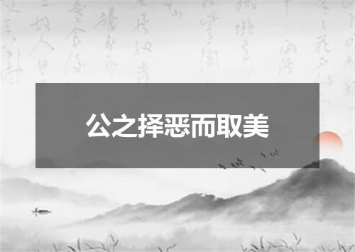 公之择恶而取美